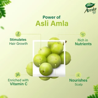 (ซื้อในไลฟ์ 33 บาท ) Dabur Amla Hair Oil น้ำมันหมักผม ช่วยผมยาว ดก ดำ ลดการเกิดผมหงอก