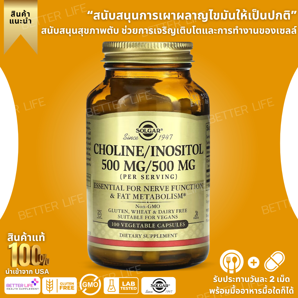 Solgar, Choline/Inositol, 500 mg, 100 Vegetable Capsules (No.3288)