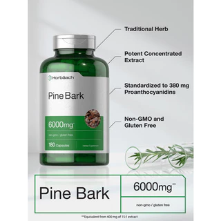 Horbaach Pine Bark Extract 6000 mg, 180 Capsules (No.3119) ยอดขายอันดับ 1