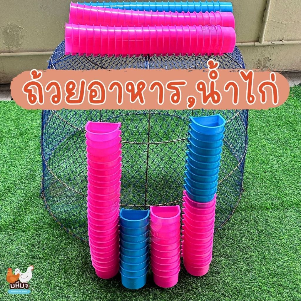 ถ้วยอาหารไก่ นก ถ้วยน้ำ เกาะสุ่มใส่ ถ้วยน้ำเล็กแบบพลาสติก