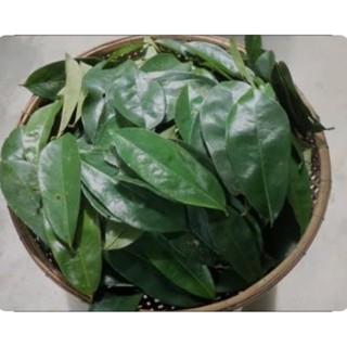 ใบทุเรียนเทศแบบสด ไม่ตากแห้ง 100กรัม