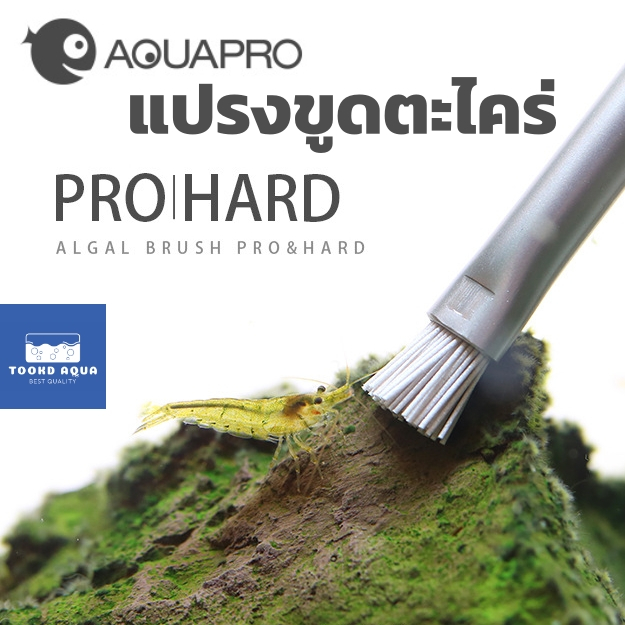 AQUAPRO แปรงขูดตะไคร่ ขัดตะไคร กำจัดตะไคร หัวแปรงอ่อน และหัวแปรงสแตนเลส