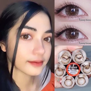 💋 มีค่าสายตา 💋Pitchy tommy Gray Brown 💋 บิ๊กอาย สุดปัง คอนแทคเลนส์ รายเดือน มีอย