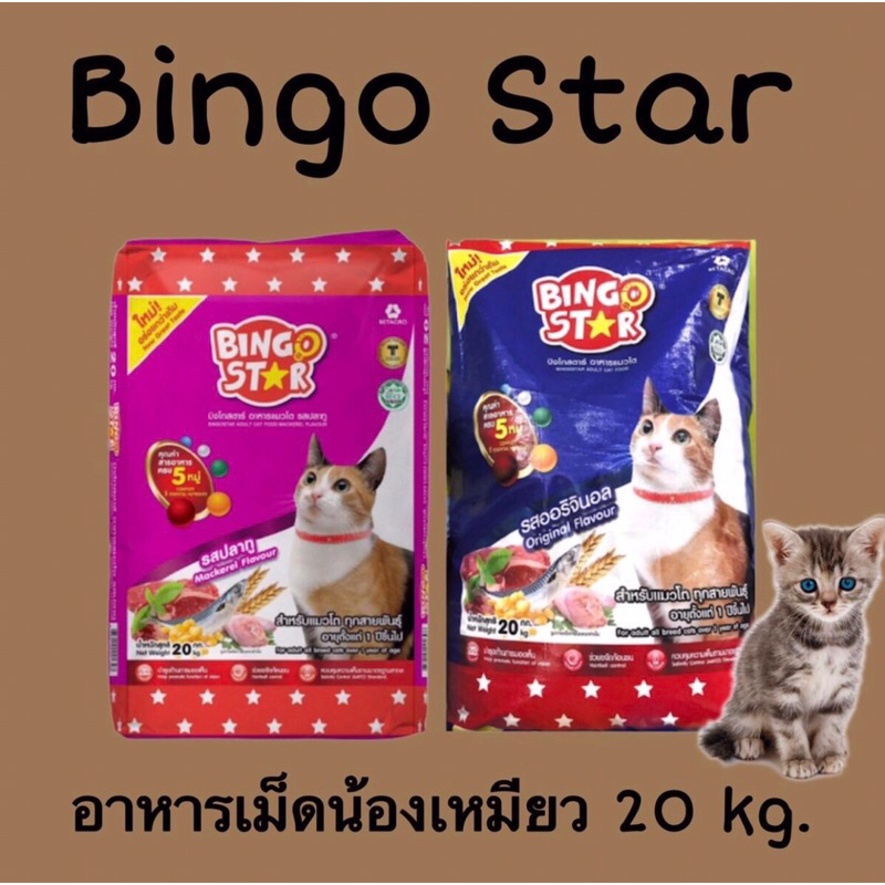 🚚ส่งฟรี🔥Bingo Star 20 kg. บิงโก สตาร์ อาหารแมวชนิดเม็ด 20 กก.