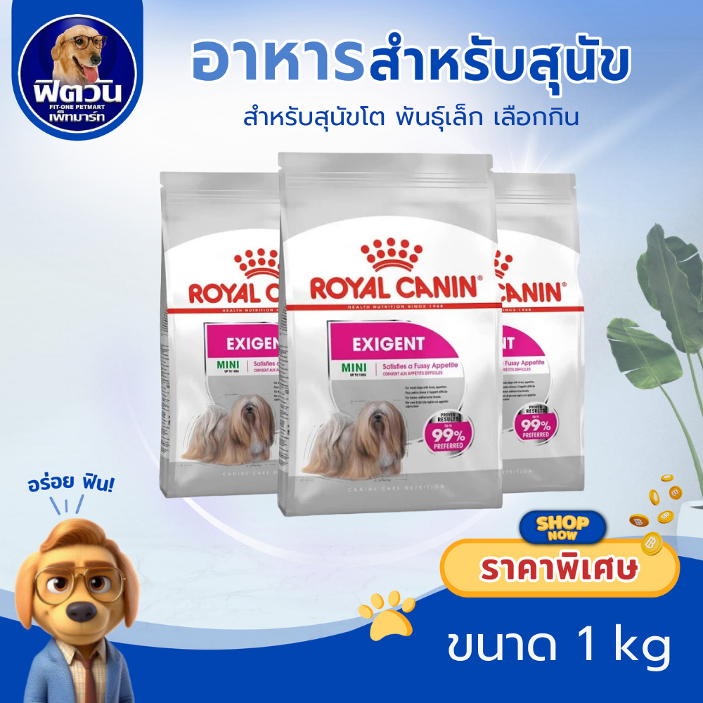 Royal Canin Mini Exigent 1kg อาหารเม็ดสุนัขโต พันธุ์เล็ก สูตรสุนัขช่างเลือกอาหาร อายุ 10 เดือนขึ้นไป