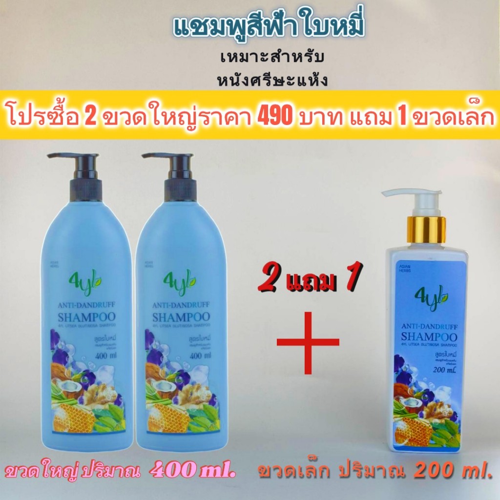 โปรแชมพูใบหมี่ใหญ่ 2 แถม มินิใบหมี่ 1