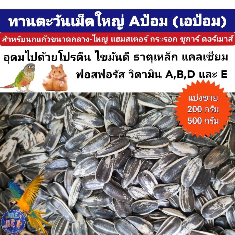 เมล็ดทานตะวัน Aป้อม เม็ดใหญ่ สำหรับนกขนาดกลาง-ขนาดใหญ่ และสัตว์ฟันแทะ เช่น แฮมเตอร์ กระรอก กระต่าย (500กรัม)