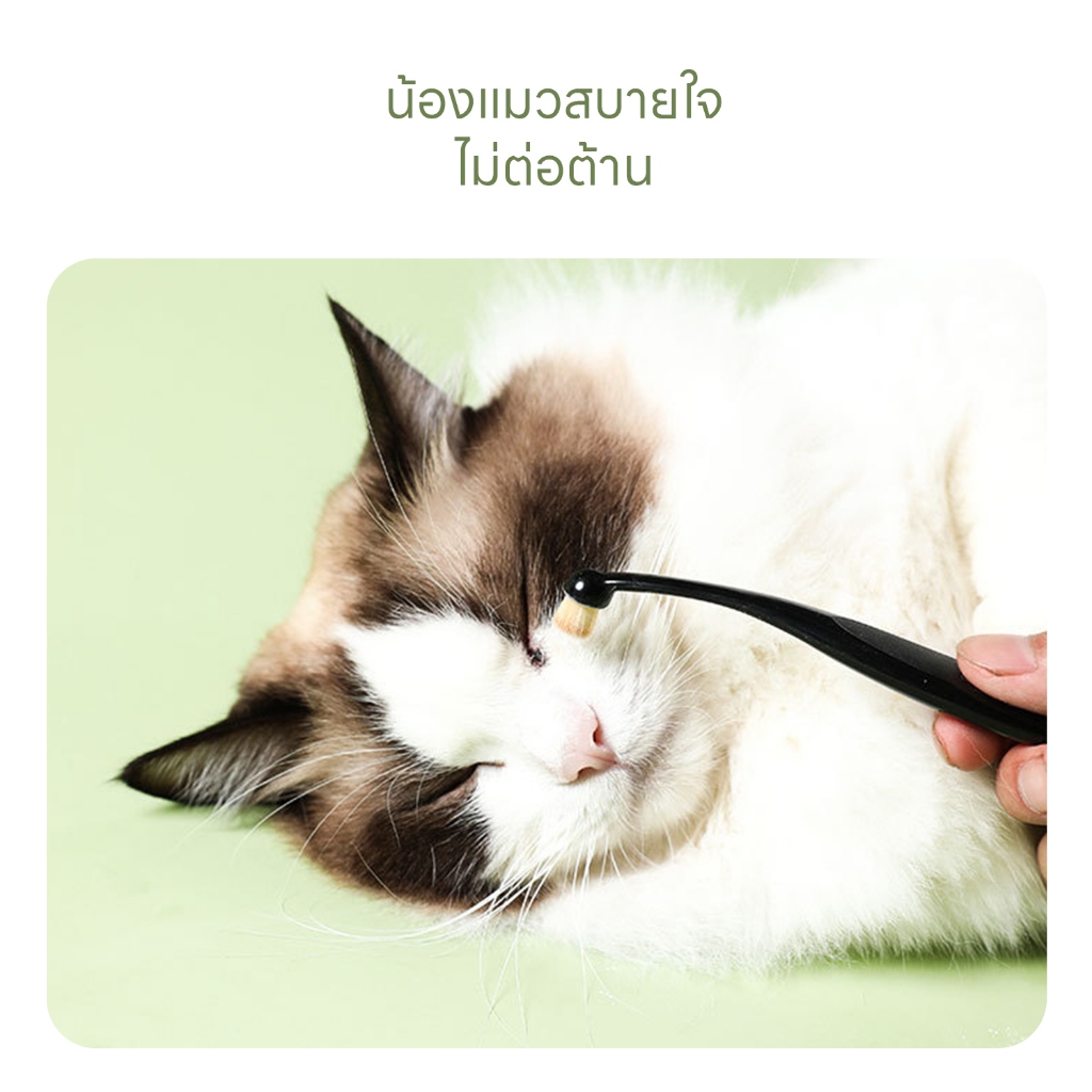 รูปภาพ 5