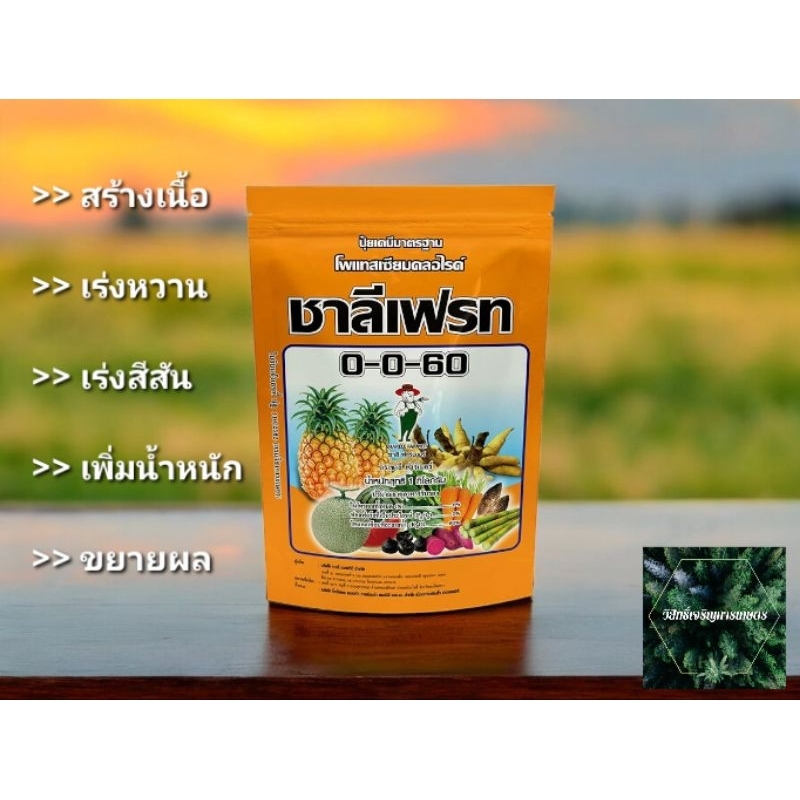 ชาลีเฟรท 0-0-60 ของแท้100%