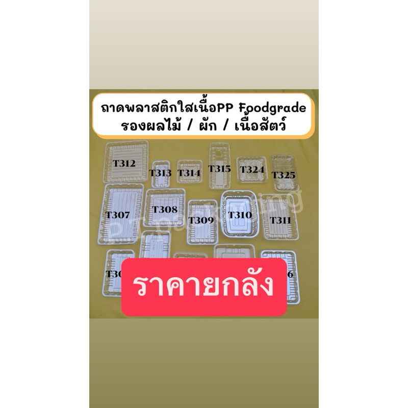 ((ยกลัง))T ถาดพลาสติกใส ยกลัง มีหลายขนาด