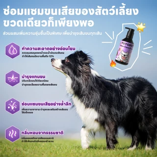 yoyopet : Dog Shampoo แชมพูอาบน้ำ สูตรบำรุงผิวหนังและเส้นขน ครีมอาบน้ำสำหรับขนแห้งเสีย ชี้ฟู 500ml