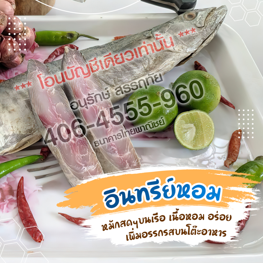 ปลาอินทรีย์ตัวละ 1กก จากร้านบังฮาซันอาหารทะเลตากแห้ง จ.สตูล
