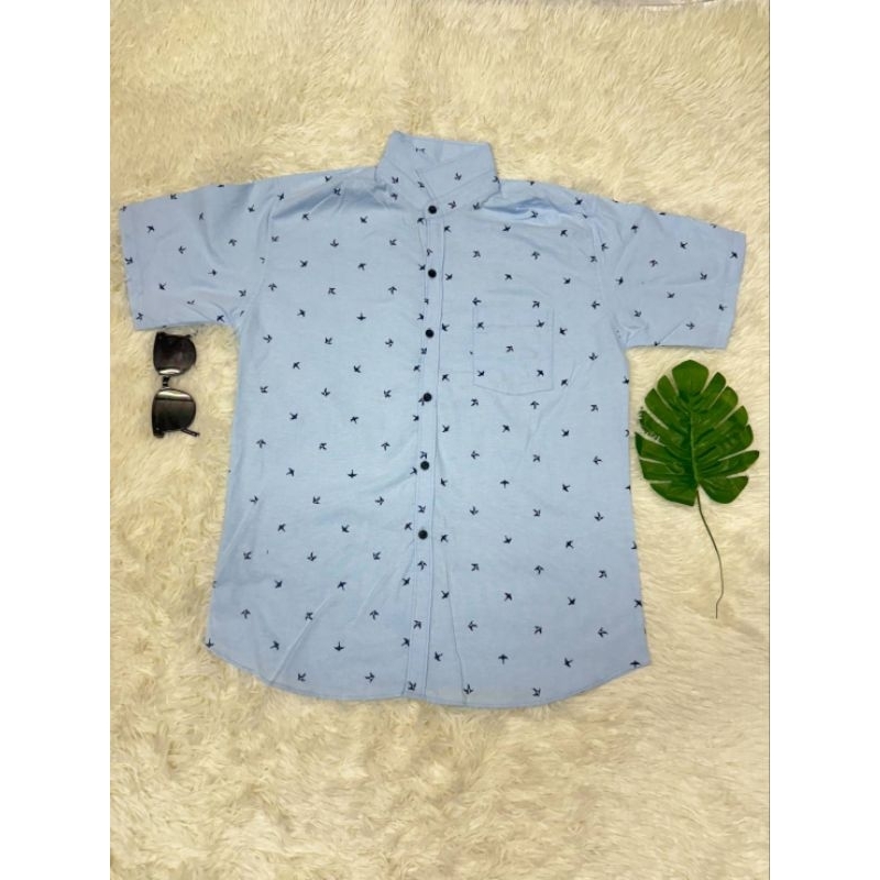 เสื้อเชิ้ตแขนสั้นพิมพ์ลาย นกนางแอ่น - รูปที่ 2