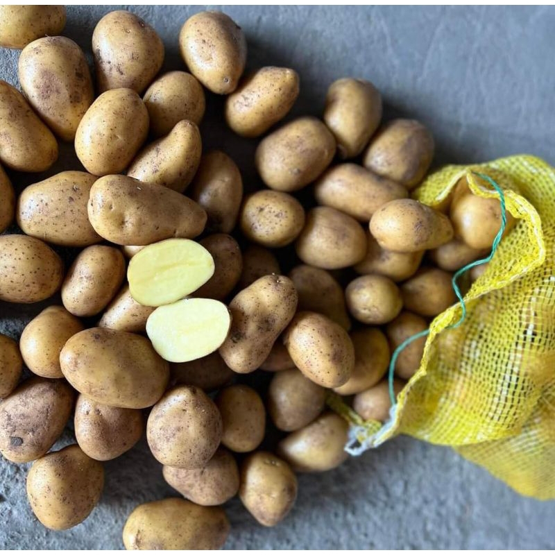 หัวมันฝรั่ง( 1 กก.) Irish Potato 1Kg