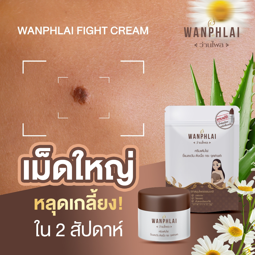 [ของแท้] ครีมไฝว่านไพล ขี้แมลงวัน ติ่งเนื้อ หูด ตาปลา แก้ปัญหา กระ สิวหิน ครีมแต้มไฝว่านไพล ไฝ หูด จี้ไฝ แต้มไฝ