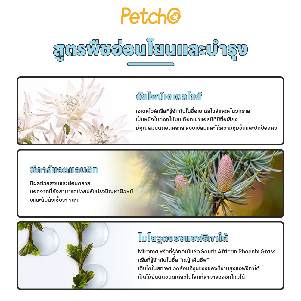 รูปภาพ 5