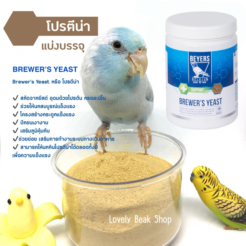 Brewer’s Yeast โปรตีน่า โปรตีนยีสต์ อาหารเสริมนก