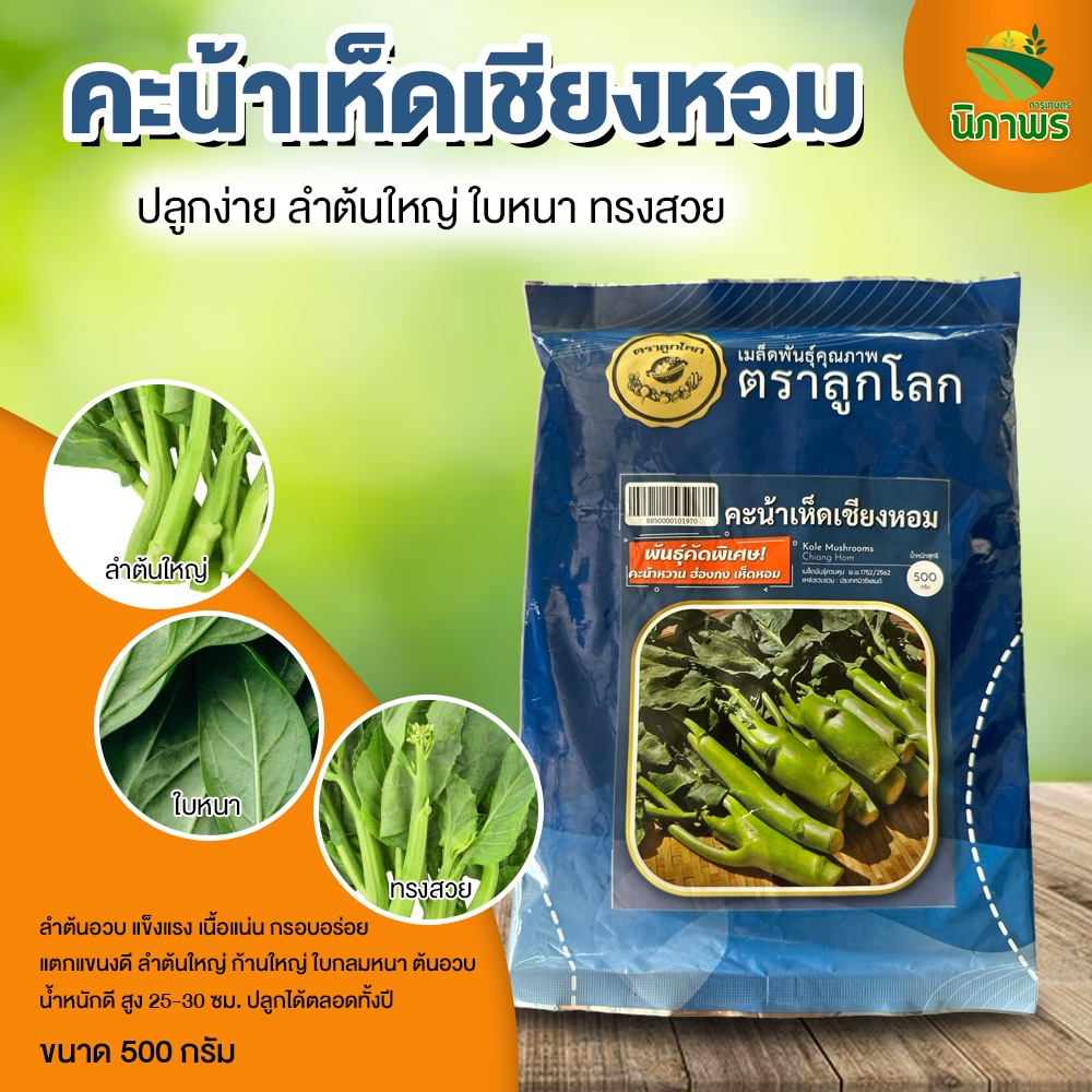 คะน้าเห็ดเชียงหอม เมล็ดพันธุ์ผัก ตราลูกโลก นิภาพรการเกษตร