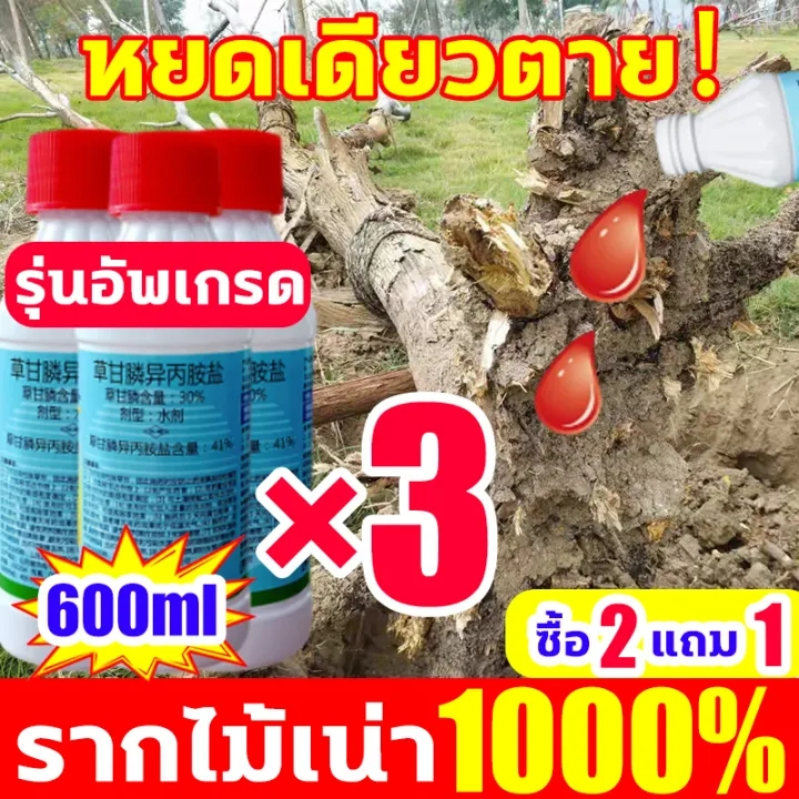 1หยดฆ่ากอไผ่ตายตายยันราก สารกําจัดกอไผ่ รากไม้เน่า500% ยาฆ่าตอไม้ ยาฆ่ากอไผ่ ยากําจัดต้นไม้ใหญ่ ยาฆ่าต้นไม้ใหญ่200ml