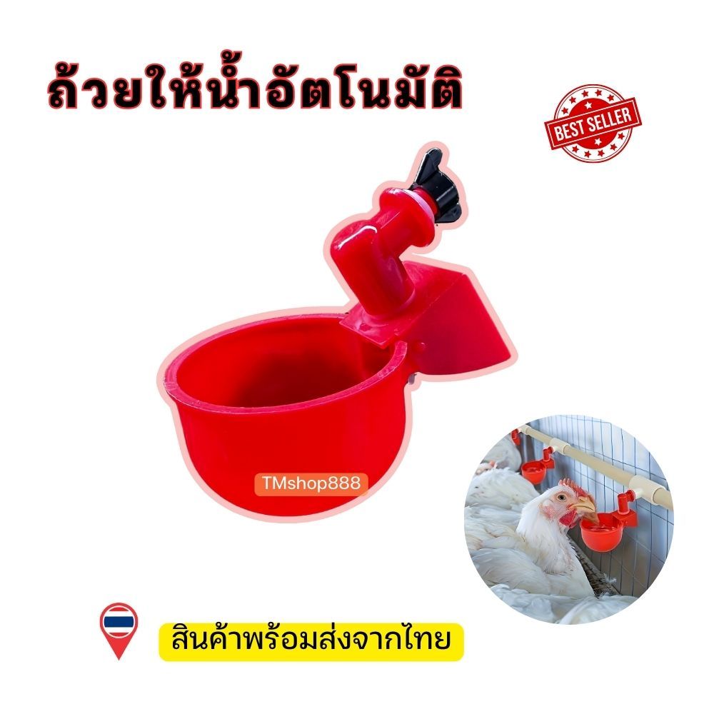 ถ้วยให้น้ำไก่อัตโนมัติ​ น้ำเต็มถ้วยตัดเอง แบบเกลียว ถอดล้างได้ 1ชิ้น