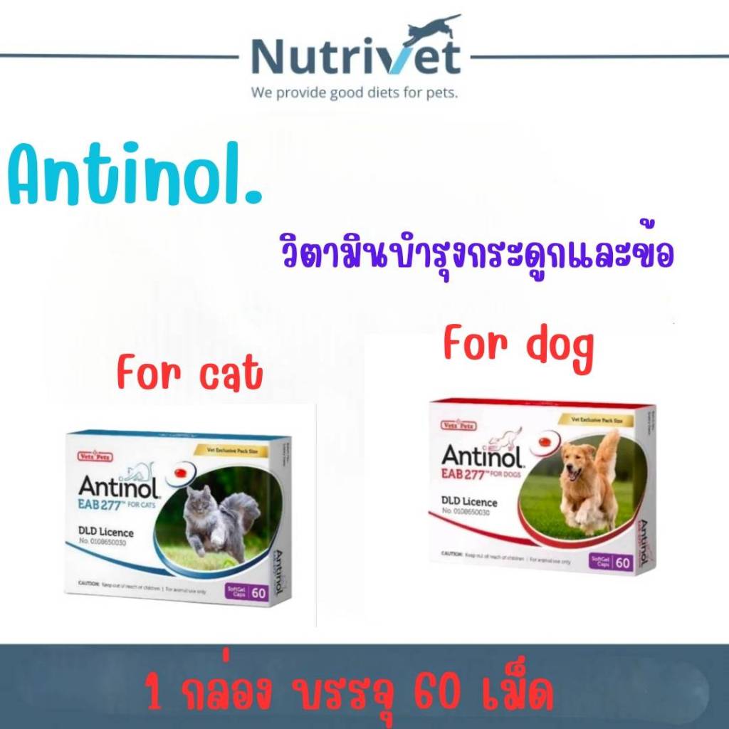 (EXP.09/25)ของแท้ 100% Antinol สำหรับสุนัข และ แมว