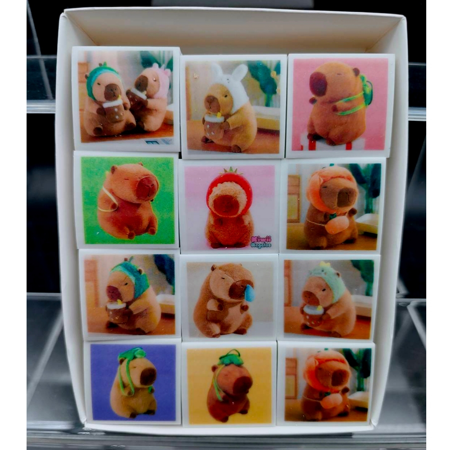 🔥แพ็ค 48 ชิ้น (ลายคาปิบาล่า)🔥 ยางลบแฟนซี ยางลบดินสอ ลายการ์ตูนCapybara เครื่องเขียนโรงเรียน