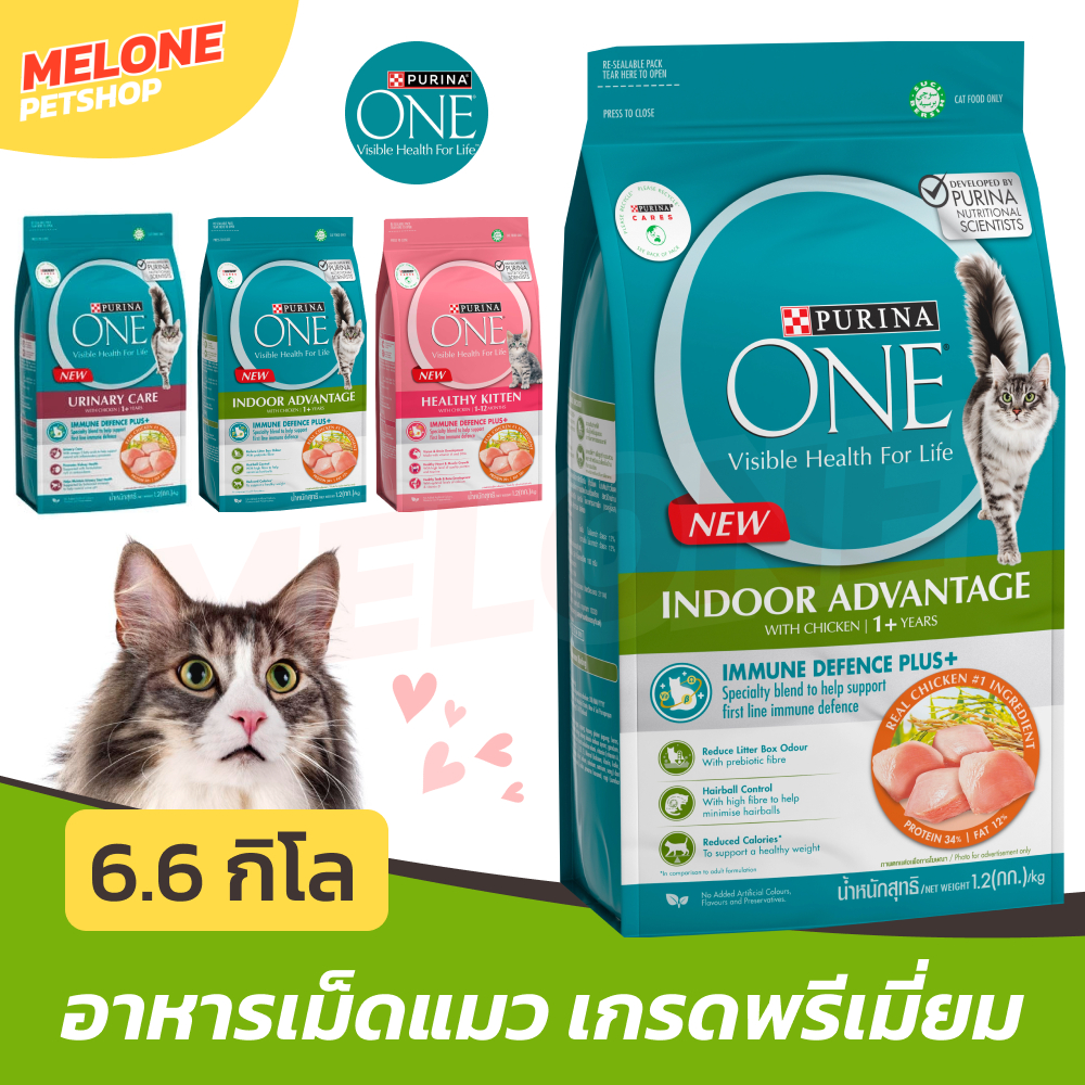 [ใหม่] Purina One เพียวริน่า วัน อาหารแมว สูตร แมวโต ลูกแมว แมวเลี้ยงในบ้าน แซลมอน Kitten / Indoor / Adult 6.6 kg กระสอบ