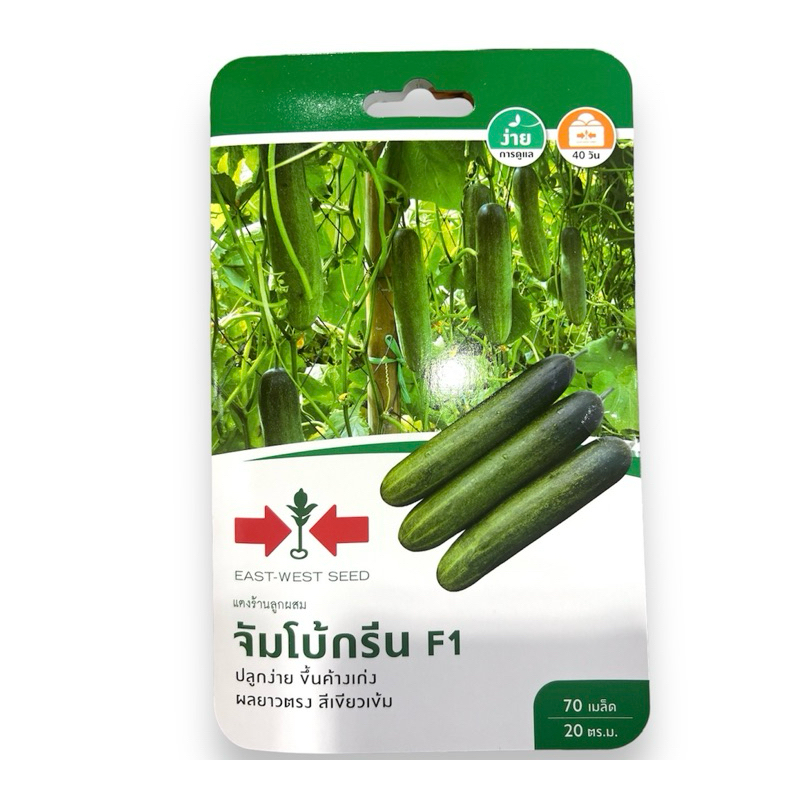 ศรแดง แตงร้าน จัมโบ้กรีน (70 เมล็ด)