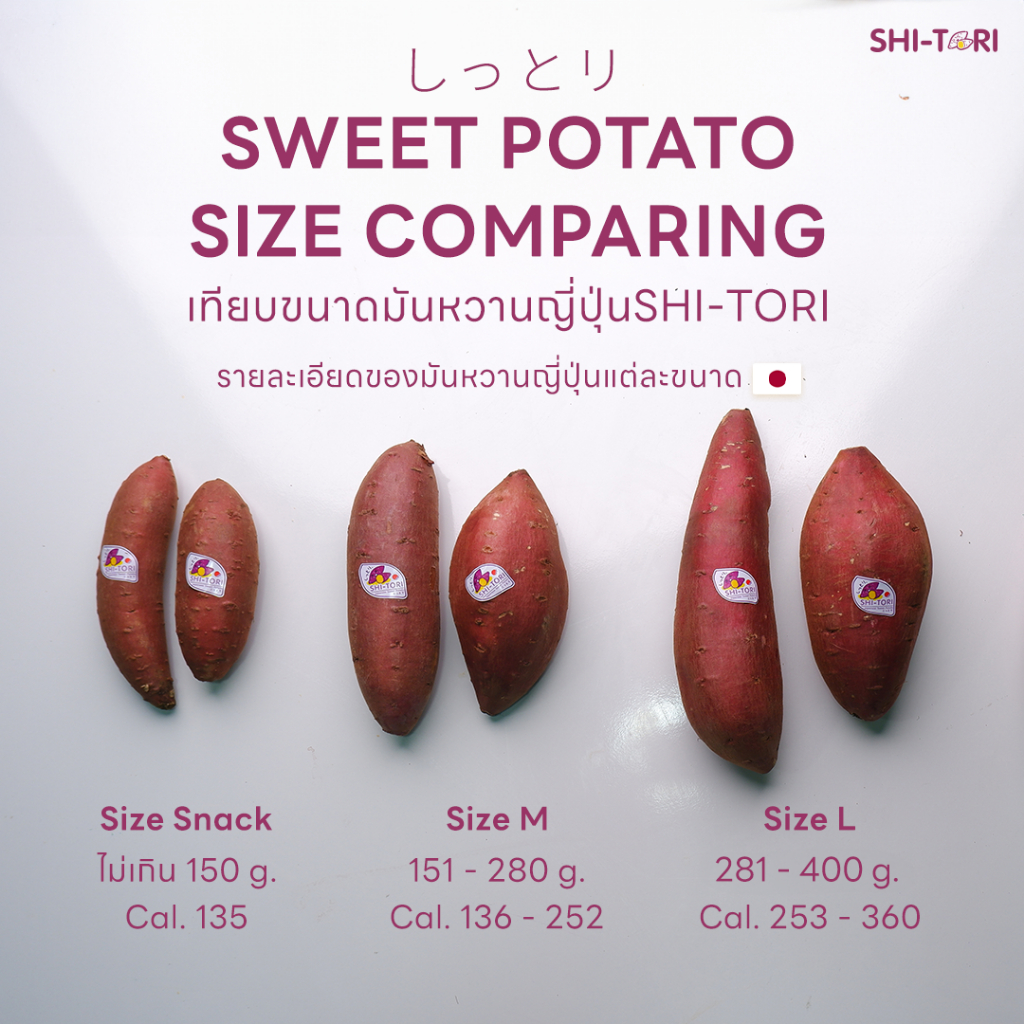 ShiTori | มันหวานญี่ปุ่น เบนิฮารุกะ Size M แพ็ค 500G. / 1Kg / 2Kg / 3Kg - 5