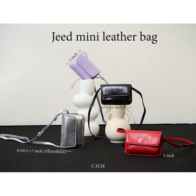 Jeed mini  leather bag 👛