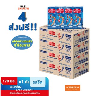 4 ส่งฟรี! Carnation Smartgo นมคาร์เนชัน สมาร์ท โก รสจืด 170 มล 36 กล่อง นม นมกล่อง