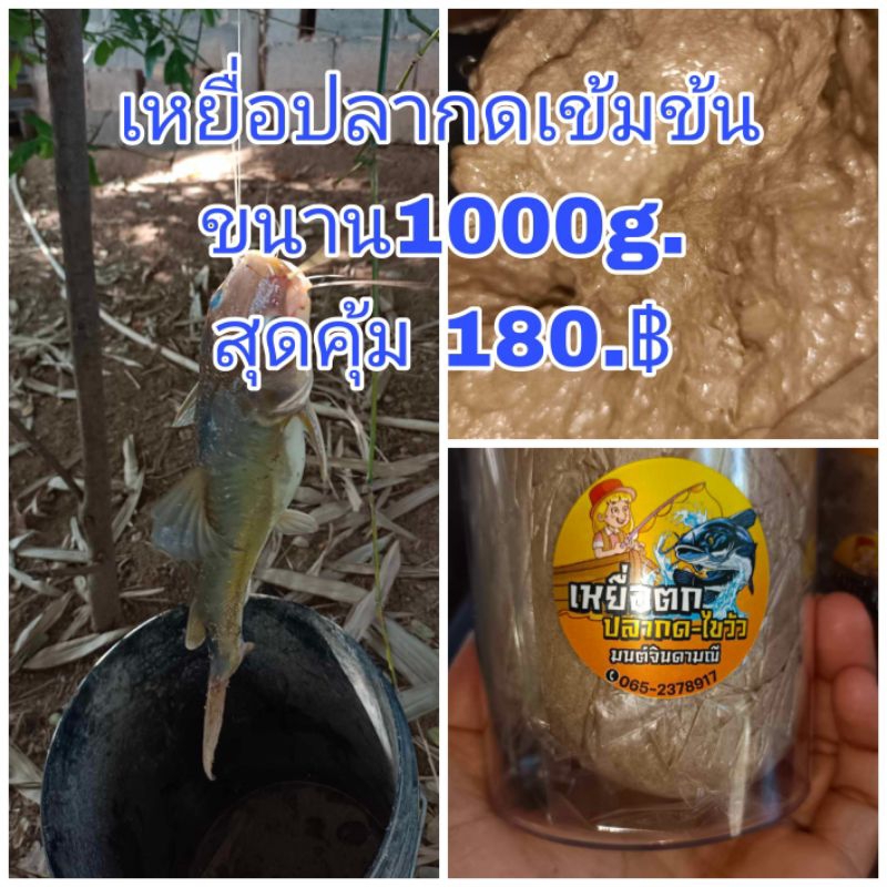 เหยื่อหมักตกปลากด สูตรเข้มข้นขนาด 1000g.แบบถุง