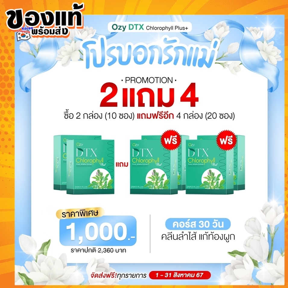 ส่งฟรี แท้พร้อมส่ง โปร8.8 Ozy DTX Chlorophyll คลอโรฟิลล์ Detoxพี่หนิง ปณิตา พรีไบโอติก ดื่มง่าย ไม่เหม็นเขียว