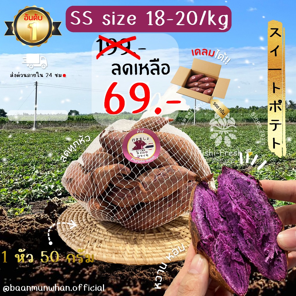 Oishi-Fresh มันหวานญี่ปุ่น 🍠ไซต์ Snake🍠🇹🇭ปลูกไทย🇹🇭 เพอเพิ่ลสวีท แบบดิบ🍠เนื้อเหลืองนุ่ม หอมหวานหนึบ 1 กก. จัดส่ง 24 ชม.