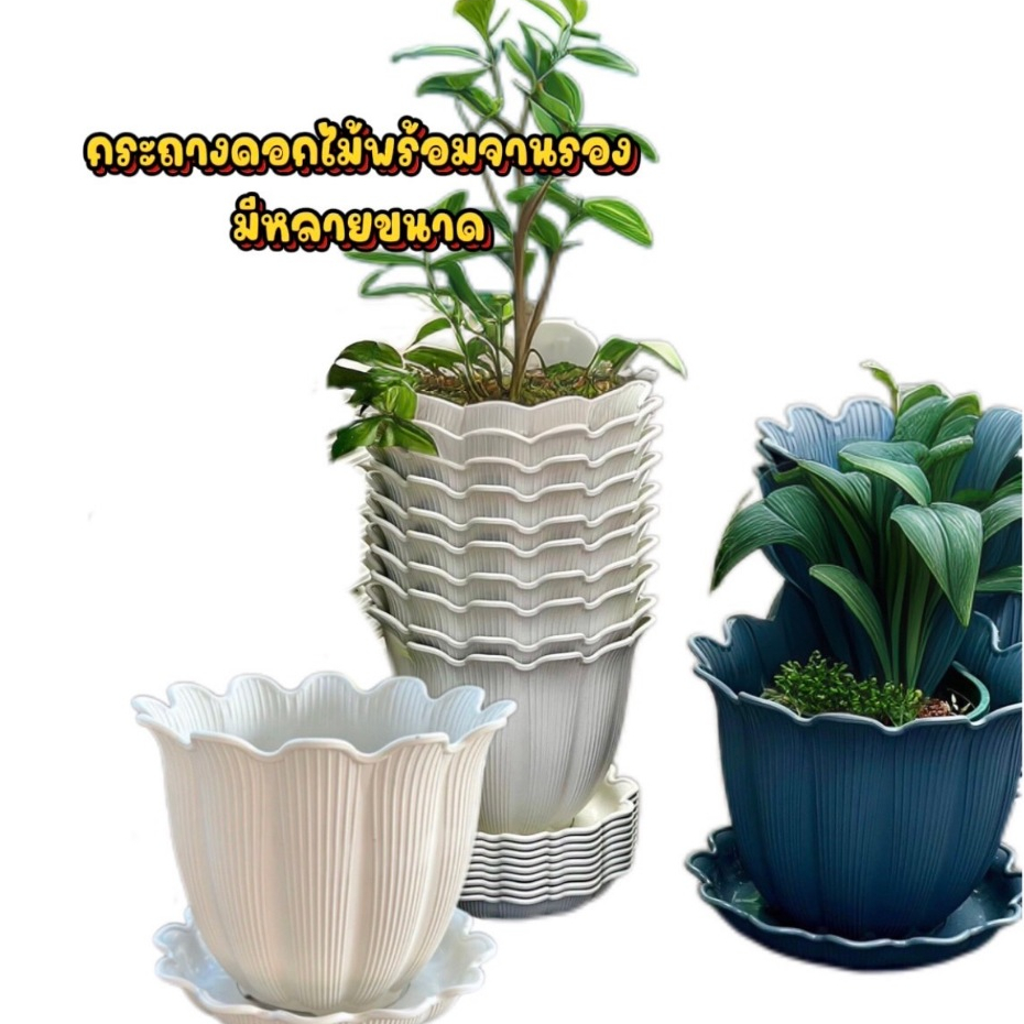 กระถางพลาสติก ทรงดอกไม้ พร้อมจานรอง มีให้เลือกหลายสี พร้อมส่ง