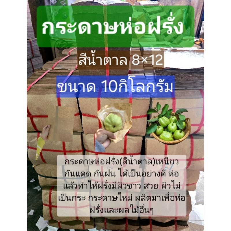 (10กิโลกรัม)กระดาษห่อฝรั่ง สีน้ำตาลขนาด 8x11 นิ้ว เหนียว กันแดด กันฝน เพื่อให้ผลฝรั่งสวยเหมาะกับการห่อฝรั่งและผลไม้อื่นๆ