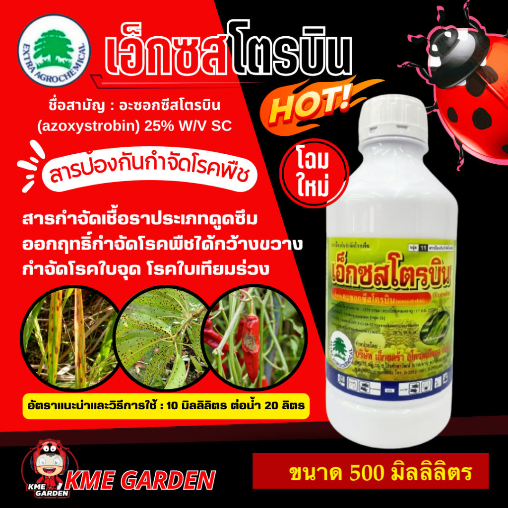 โรคพืช เอ็กซสโตรบิน ขนาด 500ml. อะซอกซีสโตรบิน สารกำจัดเชื้อราประเภทดูดซึม ออกฤทธิ์กำจัดโรคพืชได้กว้างขวาง กำจัดโรค