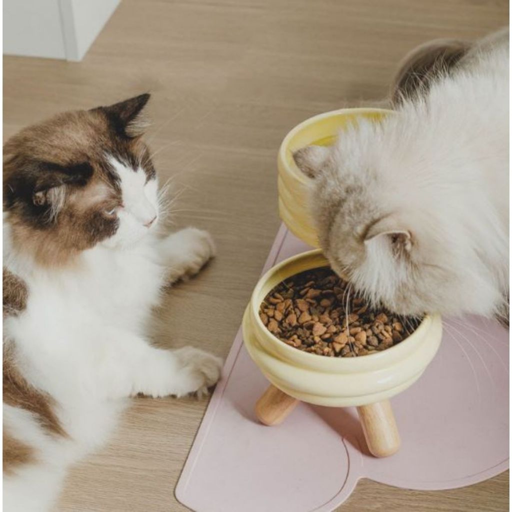 ชามเซรามิคย่น Minimal ชามหมา จานอาหารแมว Bowl เซรามิก รูปที่ 3