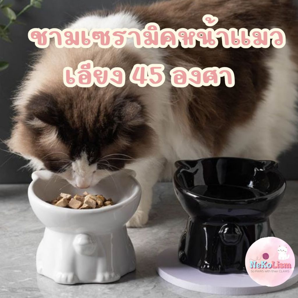 ชามเซรามิคยกสูงหน้าแมว เอียง 15องศา กระดิ่ง Bowl เซรามิก จานข้าวแมว ที่ให้อาหาร