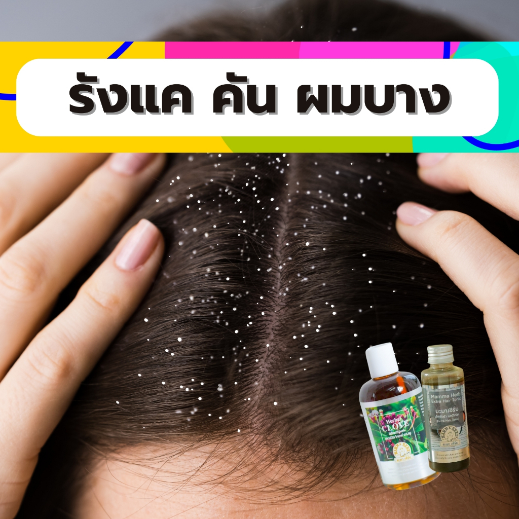 มะมาเฮิร์บ-เซตรังแค แห้ง ลอก ขุย คัน ผมบาง - แชมพูกานพลูทองพันชั่ง - ไพล2