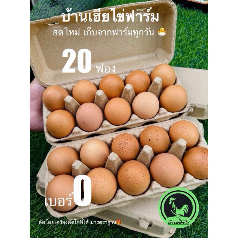 ลด40% ไข่ไก่อารมณ์ดี พร้อมส่ง เบอร์0 20ฟอง สดใหม่จากฟาร์มวันต่อวัน