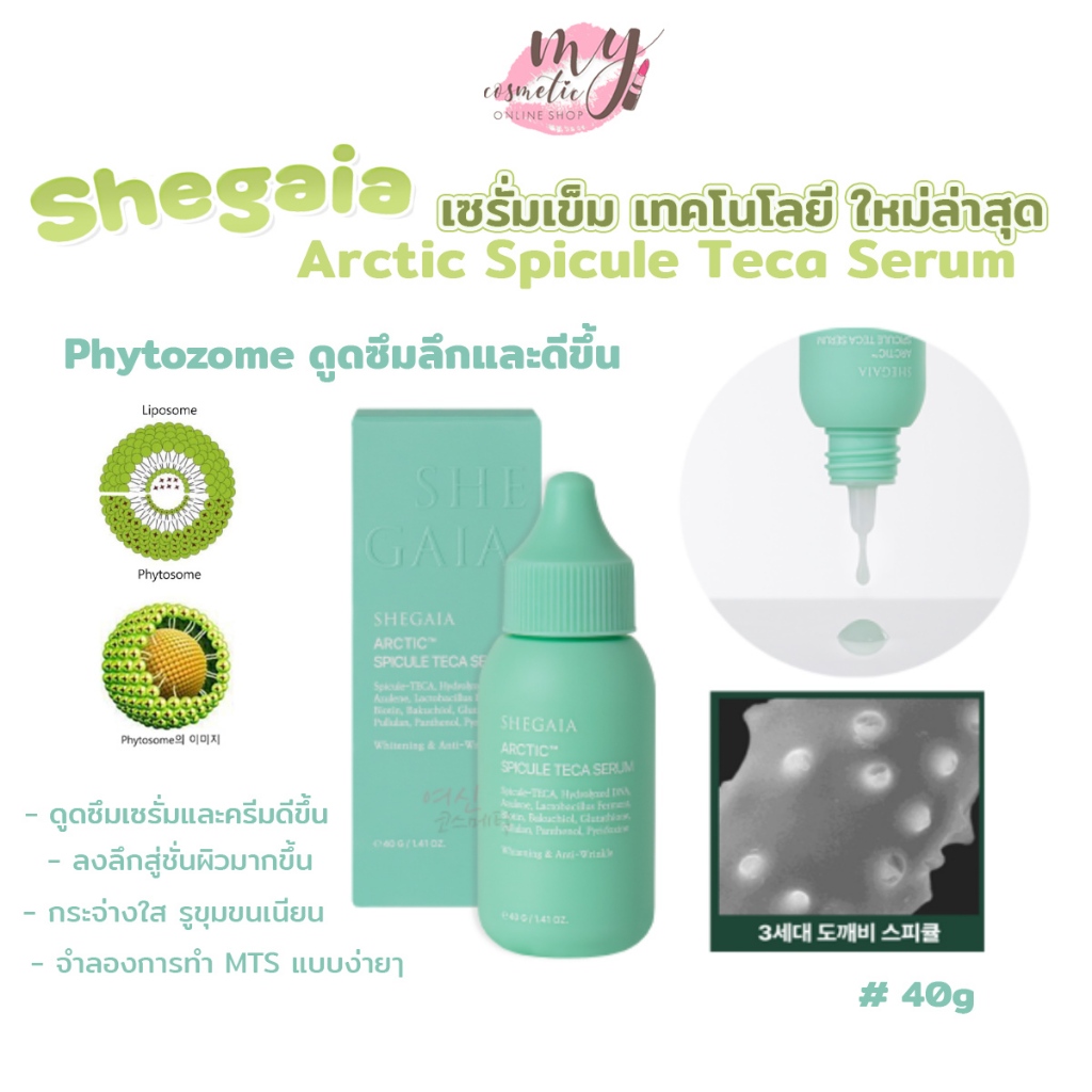 ( แท้ / พร้อมส่ง )SHEGAIA ARCTIC SPICULE TECA SERUM 40g เซรั่มเข็มเวอร์ชั่น 3 พัฒนาใหม่