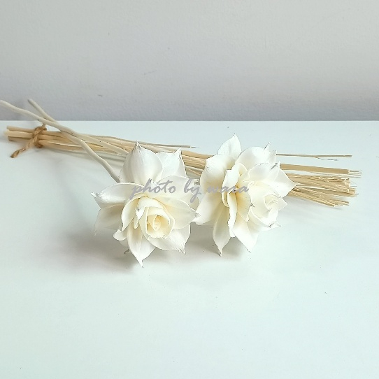 ดอกไม้ดูดน้ำหอม ดอกโสน ดอกรักเร่ (Dahlia) ก้านไม้กระจายกลิ่น Sola Flower, Reed Diffuser.