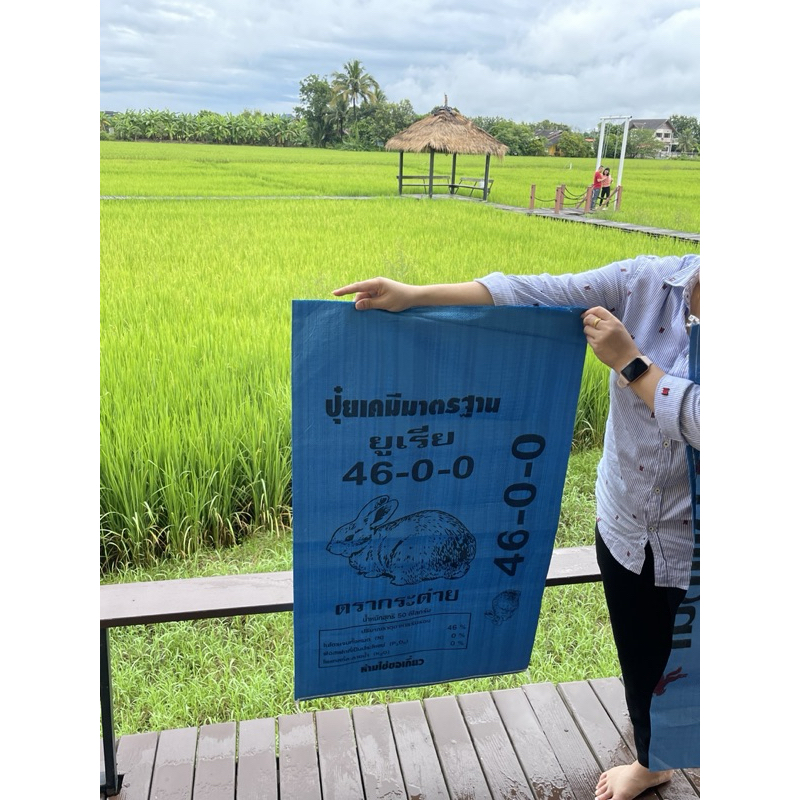 กระสอบปุ๋ยยูเรียใหม่(แพ็คละ50ใบ)ขนาด 24x40 นิ้ว กระสอบปุ๋ย กระสอบใส่ข้าว ถุงใหม่ ราคาโรงงาน ใบใหญ่ เนื้อเหนียวทนทาน รูปที่ 6