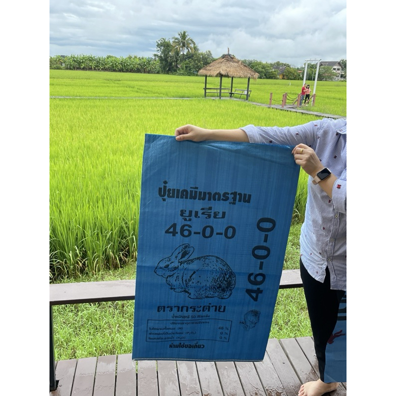 กระสอบปุ๋ยยูเรียใหม่(แพ็คละ50ใบ)ขนาด 24x40 นิ้ว กระสอบปุ๋ย กระสอบใส่ข้าว ถุงใหม่ ราคาโรงงาน ใบใหญ่ เนื้อเหนียวทนทาน รูปที่ 3