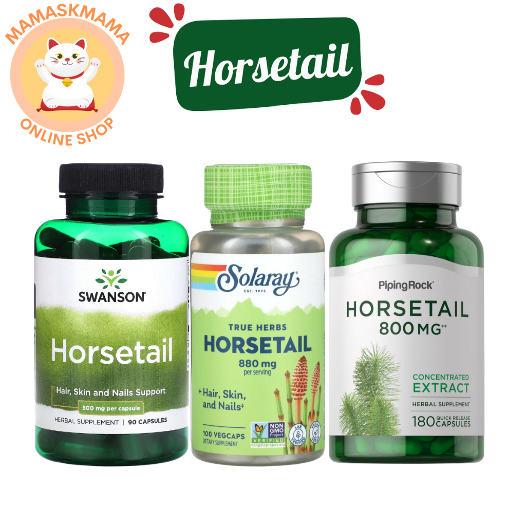 หญ้าหางม้า horsetail สมุนไพร แก้ผมร่วง ลดผมร่วง บำรุงรากผม ผมสวยเงางาม สินค้า พร้อมส่ง EXP 06/2027