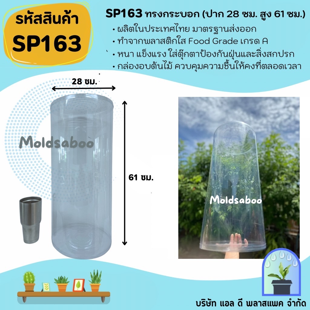 ทรงกระบอกพลาสติกใสPVCขนาดเส้นผ่านศูนย์กลาง 28 cm สูง 61cmทรงกระบอกทรงสูง ทรงกระบอกใสใส่ต้นไม้(SP163)