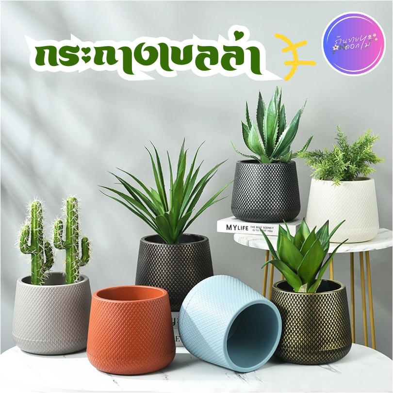 กระถางเบลล่า กระถางมินิมอล 5" 7" 9" 12" กระถางเบลล่าสไตล์มินิมอล กระถางพลาติก พร้อมส่งจากไทย