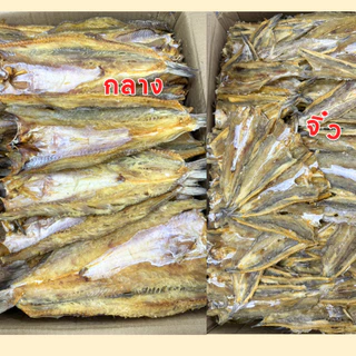 ถูกมาก‼ ปลาช่อนทะเล🐟ปลาจิ๊กโก๋ ไม่เค็มมาก ทำสดใหม่ แห้งมาก ปลาแห้ง