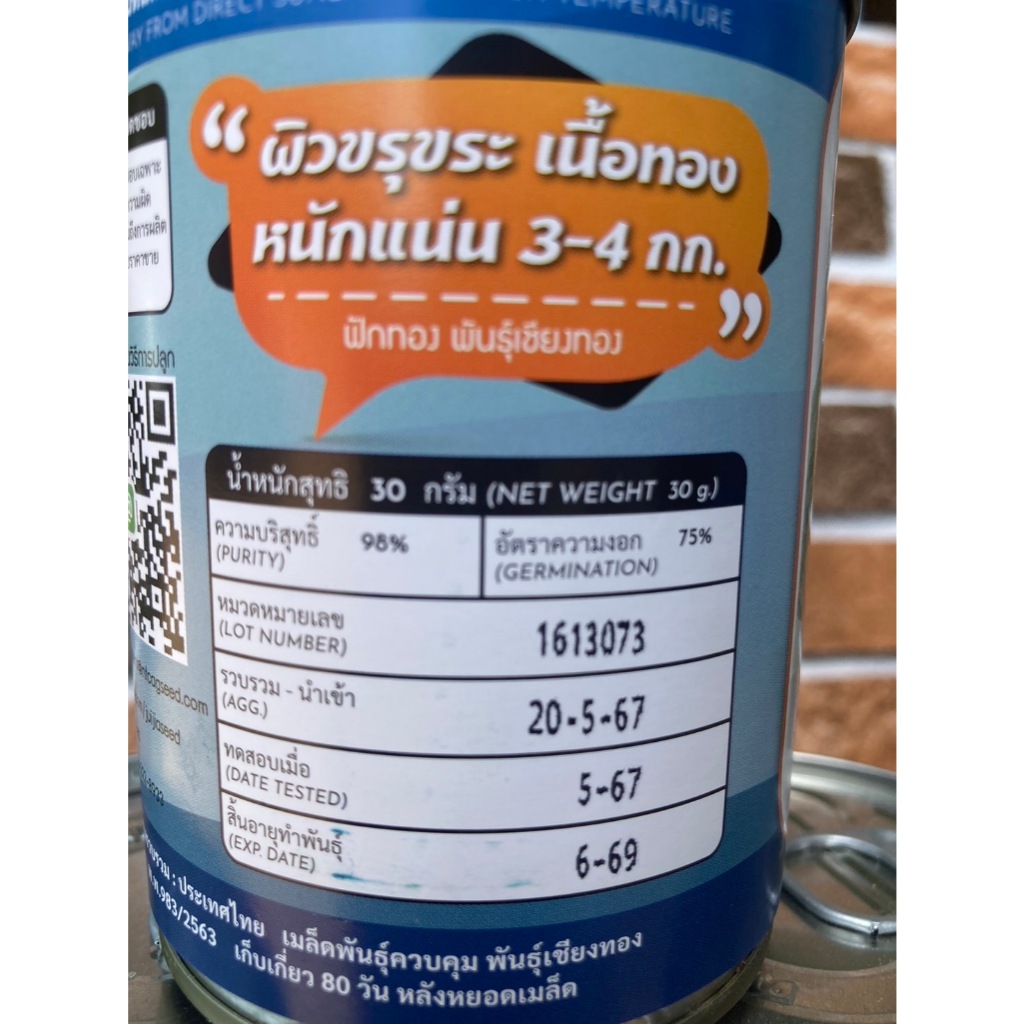 ฟักทอง🔥 เชียงทอง🔥  เนื้อสีทอง 🔥 ผิวขรุขระ 🔥 ลูำกใหญ่ ๆๆๆๆ 🔥สิ้นอายุทำพันธุ์   06 / 69🔥 - รูปที่ 6